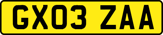 GX03ZAA