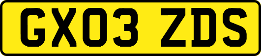 GX03ZDS