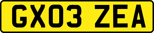 GX03ZEA
