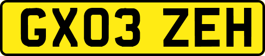 GX03ZEH