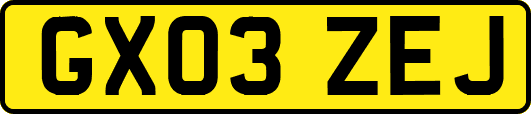 GX03ZEJ