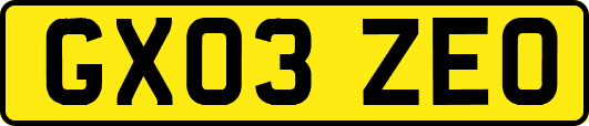 GX03ZEO