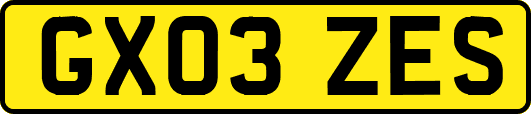 GX03ZES