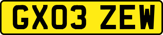 GX03ZEW