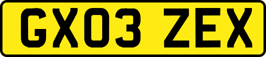 GX03ZEX