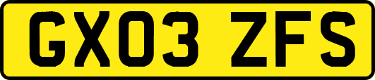 GX03ZFS