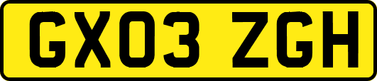 GX03ZGH