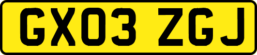 GX03ZGJ