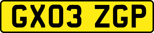 GX03ZGP