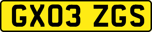GX03ZGS