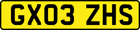 GX03ZHS