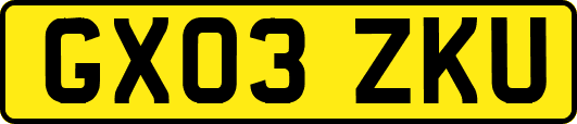 GX03ZKU