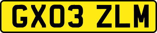 GX03ZLM