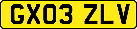 GX03ZLV