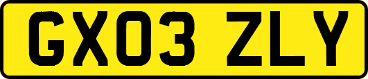 GX03ZLY