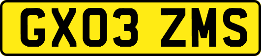 GX03ZMS