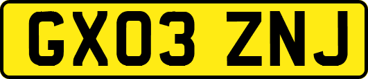 GX03ZNJ