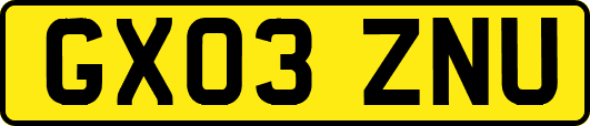 GX03ZNU