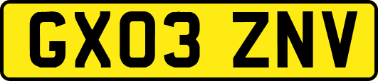 GX03ZNV