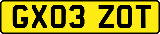 GX03ZOT