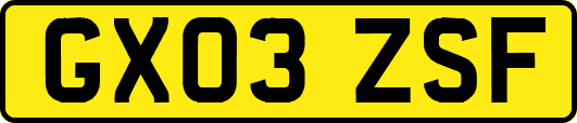 GX03ZSF