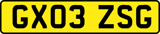 GX03ZSG