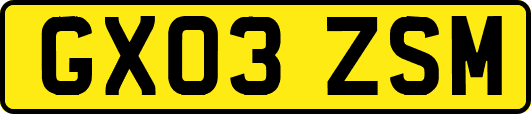 GX03ZSM