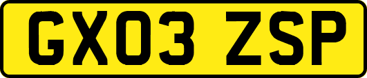GX03ZSP