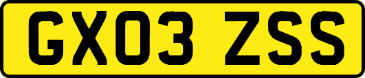 GX03ZSS