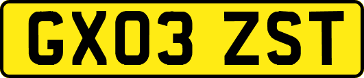 GX03ZST