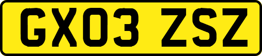 GX03ZSZ