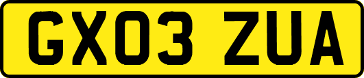 GX03ZUA