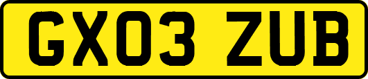 GX03ZUB