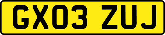 GX03ZUJ