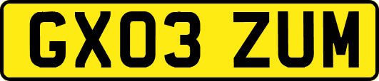 GX03ZUM