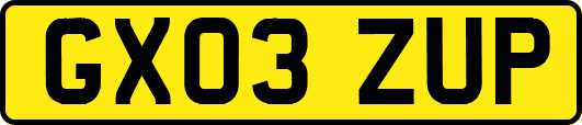 GX03ZUP