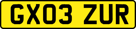 GX03ZUR