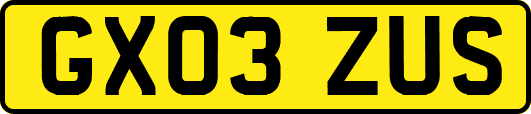 GX03ZUS