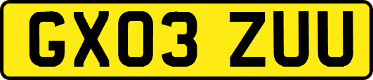 GX03ZUU