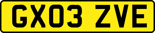 GX03ZVE