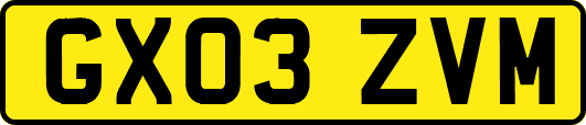 GX03ZVM
