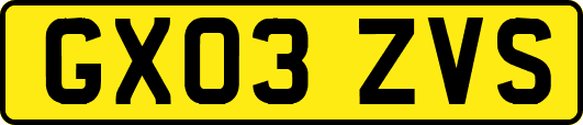 GX03ZVS