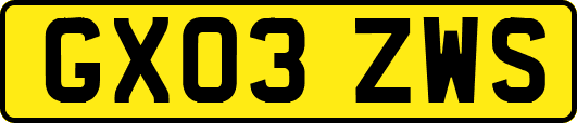 GX03ZWS