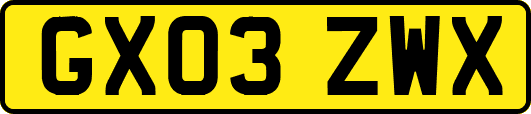 GX03ZWX