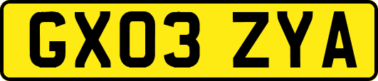 GX03ZYA