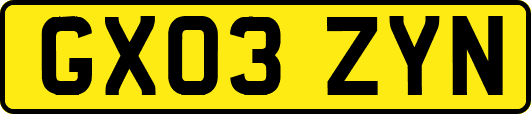 GX03ZYN