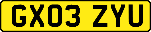 GX03ZYU