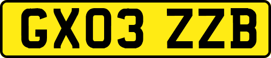 GX03ZZB