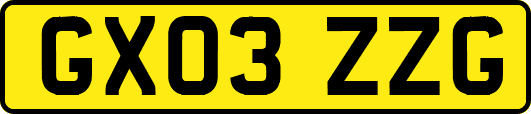 GX03ZZG