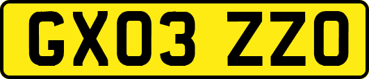 GX03ZZO